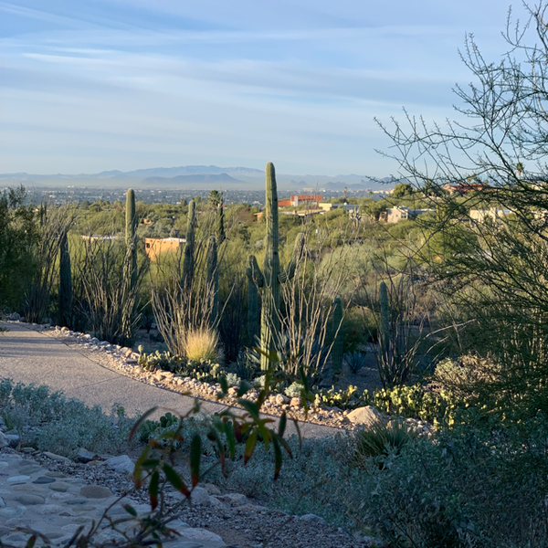 Tucson Gem Show 2022 Part 1