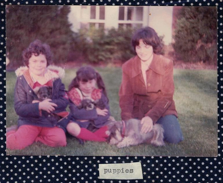 For The Love Of Schnauzers